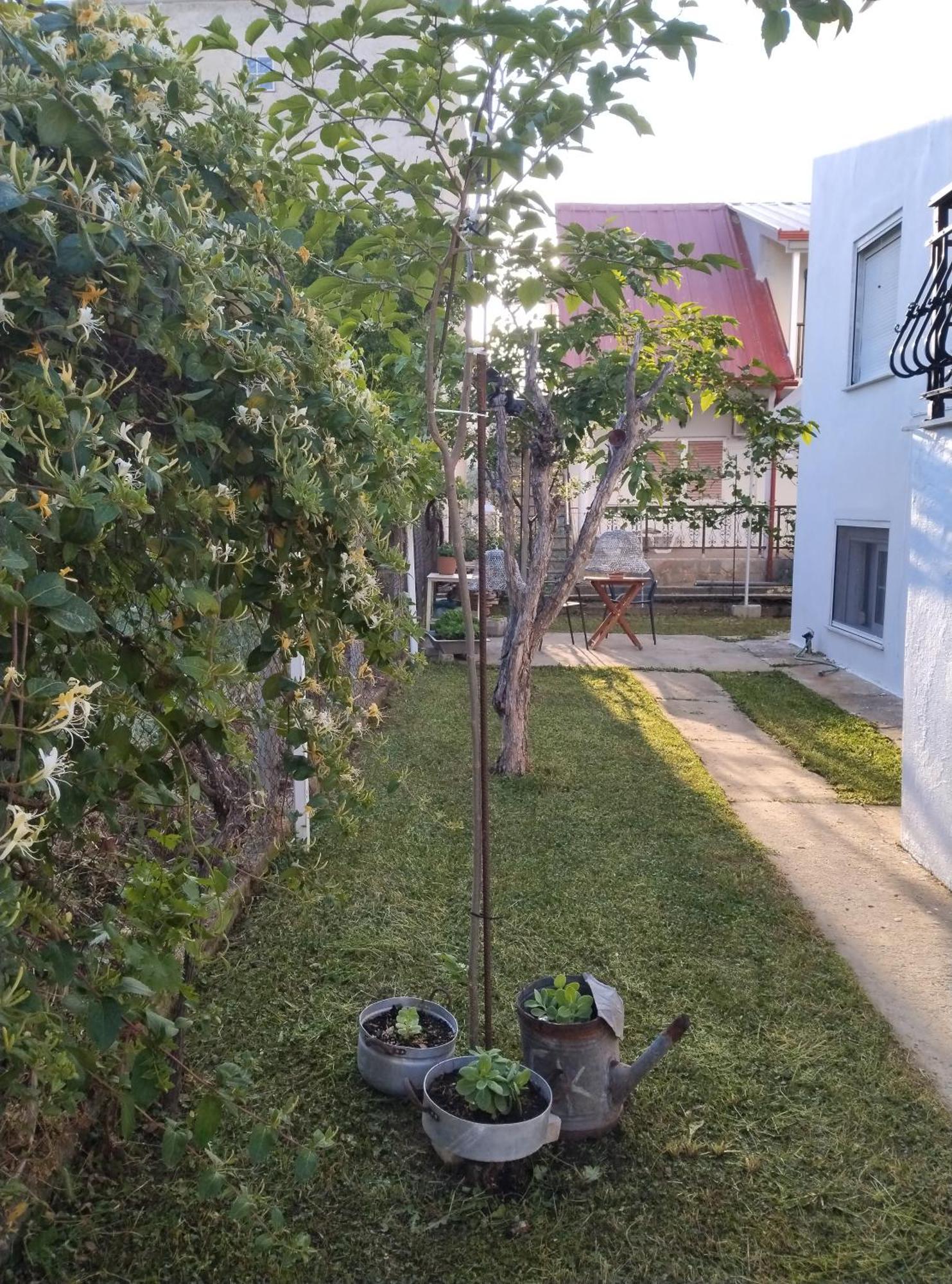 Θαλασσινή Αυρα Villa Vrasná Exterior foto