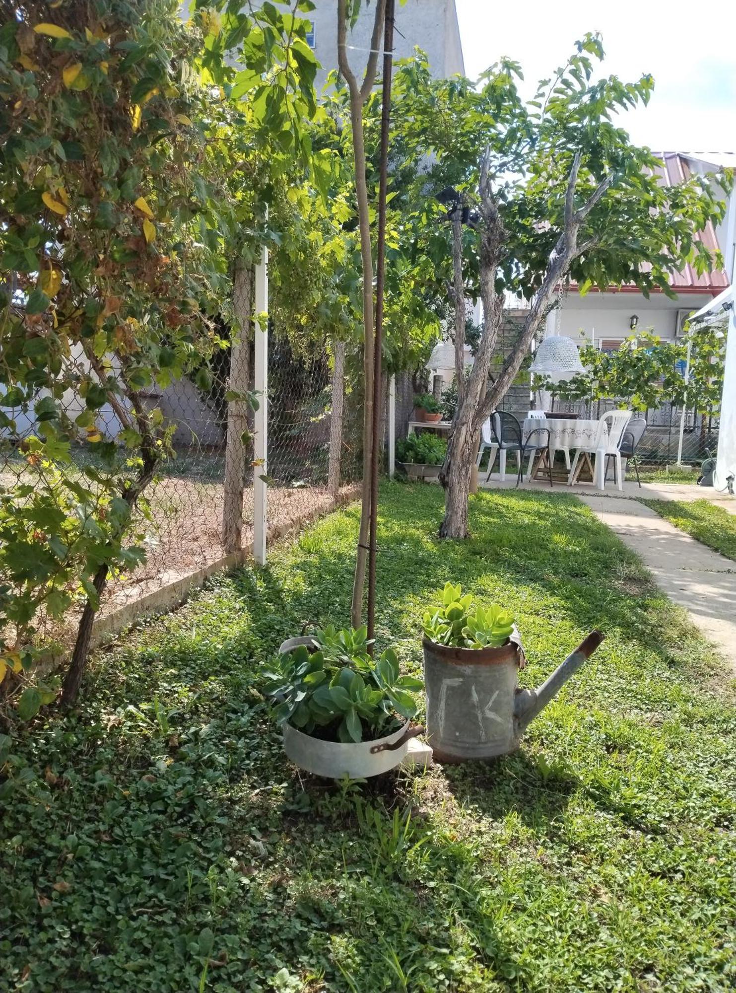Θαλασσινή Αυρα Villa Vrasná Exterior foto